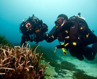 PADI Rebreather Qualifier's photos